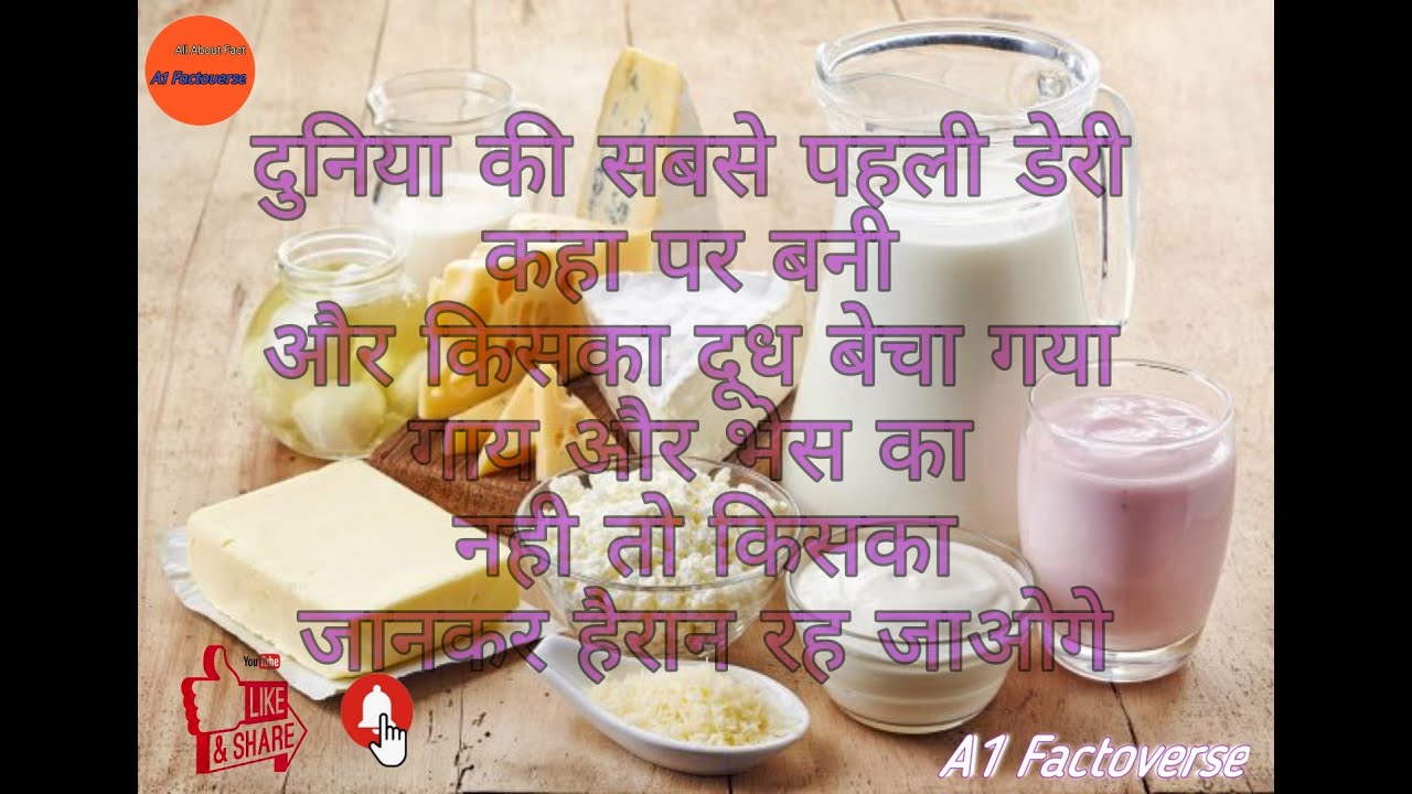 World First dairy**Camel milk Facts Duniya ki pehli dairy kaha hai 