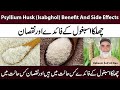  psyllium husk isabghol benefit and side effects  isabghol ke fayde aur nuqsaan