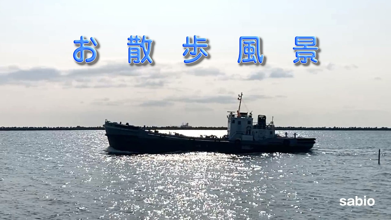 2026.02.23　お散歩風景