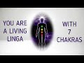 Sadhguru - You are a linga with seven chakras , It&#39;s right here within you