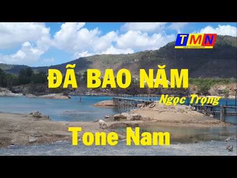 Đã bao năm (Ngọc Trọng) 