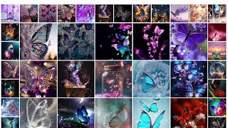 Butterfly dp images for WhatsApp 🦋 || butterfly photos || butterfly wallpaper,pic,dpz, profile