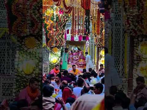 sabhi Kare banke Bihari Vrindavan ji ke darshan