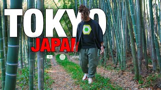 SOLO TRIP TO TOKYO VLOG | JAPAN Cherry Blossom  | 🇯🇵 LOST my bag!!
