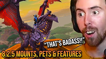 Asmongold Reacts To New Patch 8.2.5 Mounts, Pets & Features (Party Sync)