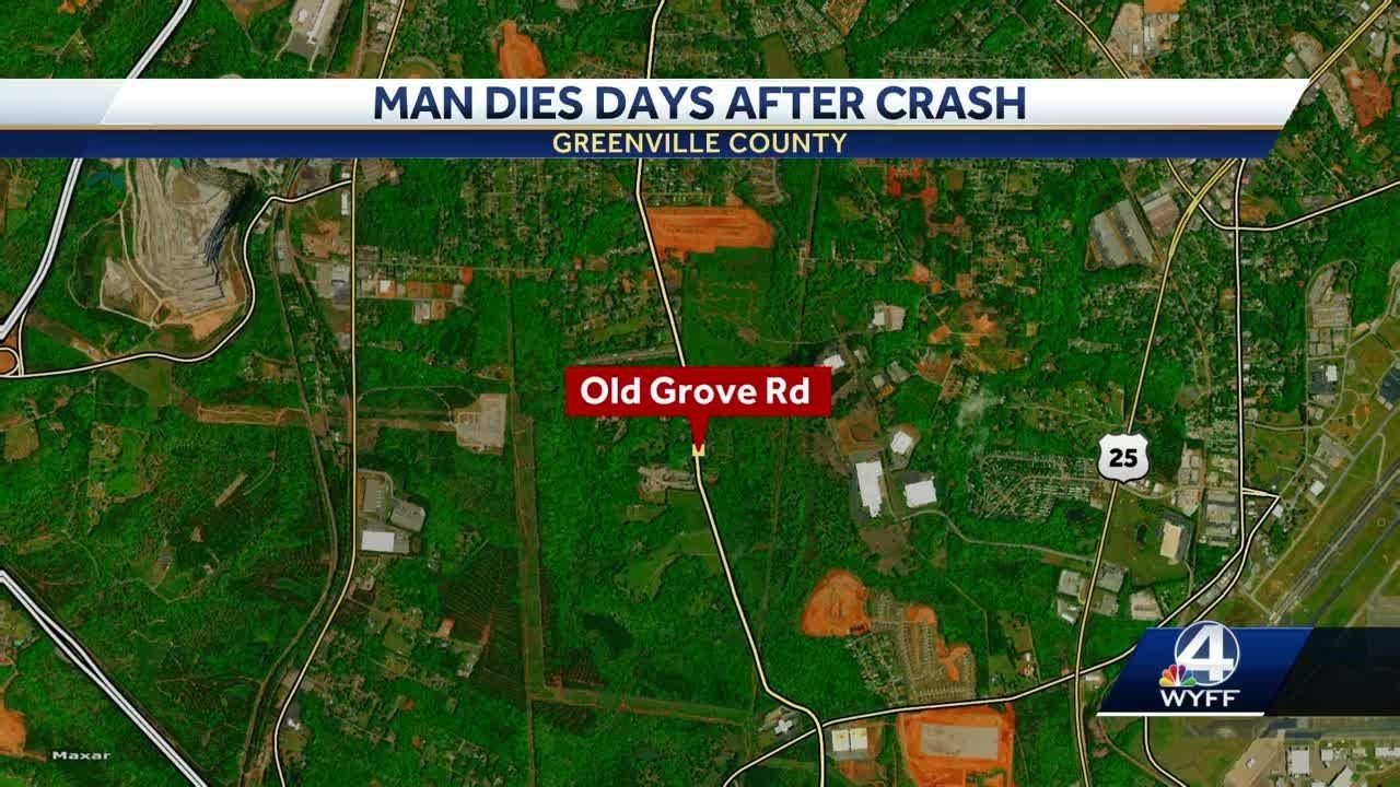 Driver dies days after crashing into utility pole in Greenville, South ...