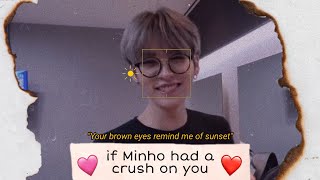 Imagine Minho/Lee Know had a crush on you [+confession]