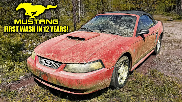 First Wash in 12 Years: ABANDONED Ford Mustang! | Car Detailing Restoration