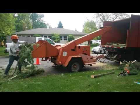 1980 ford wood chipper