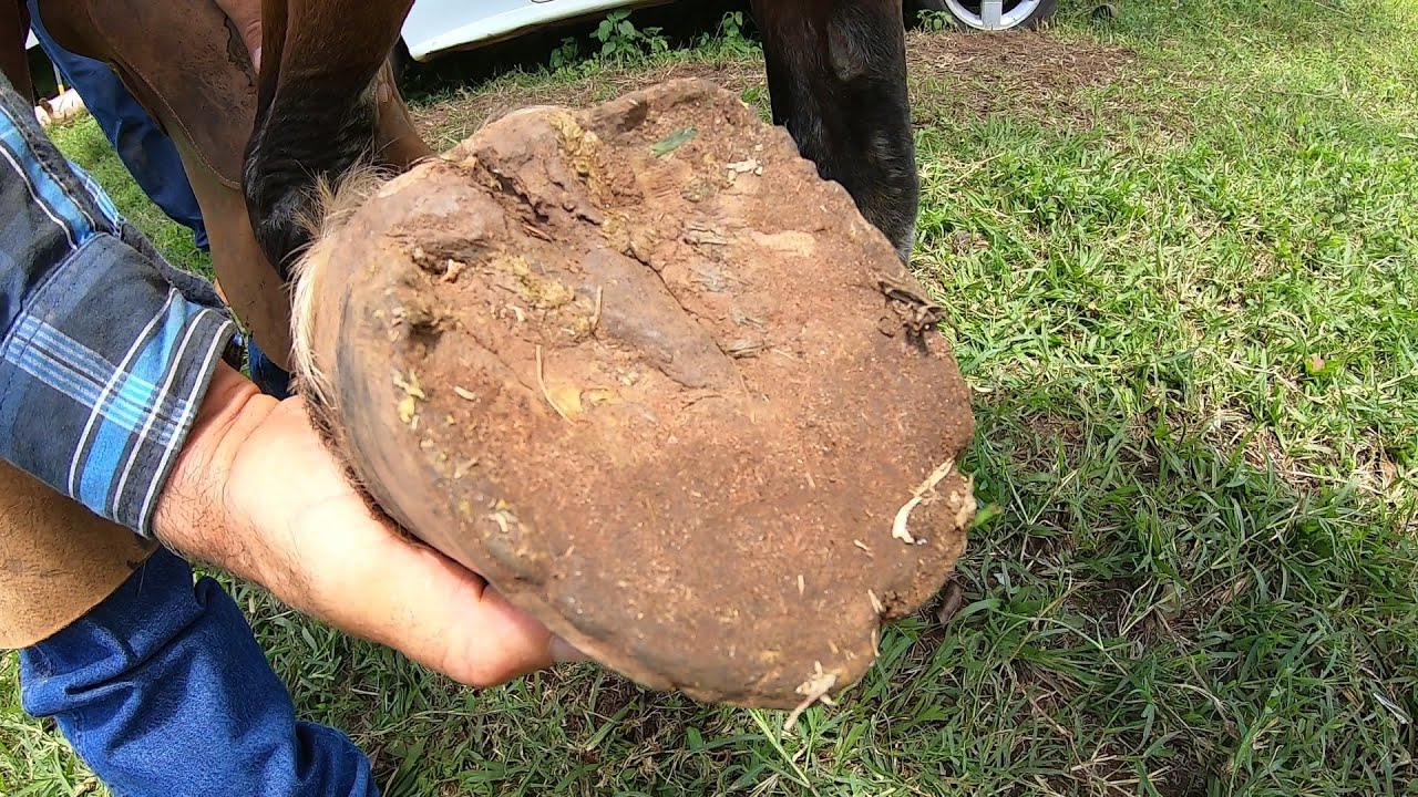 5 ANOS  sem  LEVANTAR  o Casco...