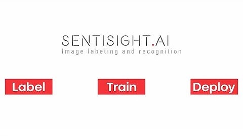 SentiSight.ai image labeling and recognition platform