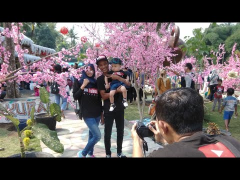 Wisata Istana Sakura Garum Blitar 5 Juli 2019 Youtube Wisata Istana Sakura Garum Blitar 5 Juli 2019 Youtube