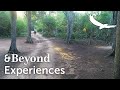 Experiences TV | Sand Forest Walk | Phinda Private Game Reserve