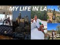 MY LIFE IN LA VLOG | Exciting News, Gender Reveal, Malibu Wine Tour, My First Chanel Bag!!