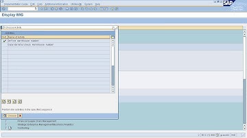 SAP WM - Defining Organization Structure