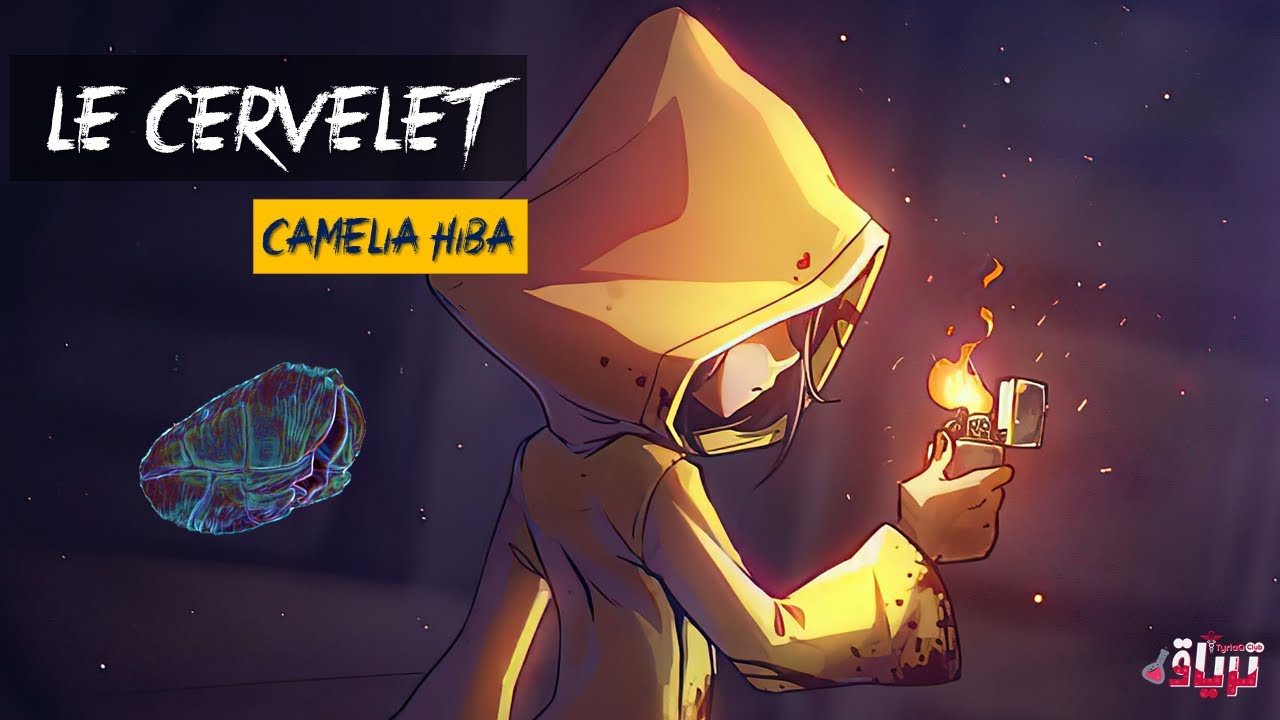 #Physiologie - LE CERVELET par CAMELIA HIBA
