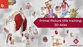 3D Atlas tutorial: Primal Pictures screenshot 5