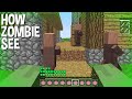 Minecraft, but how ZOMBIE mob SEE IT ?