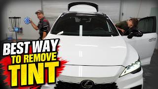 Window Tint Removal for Beginners - Remove Tint Without Leaving Glue