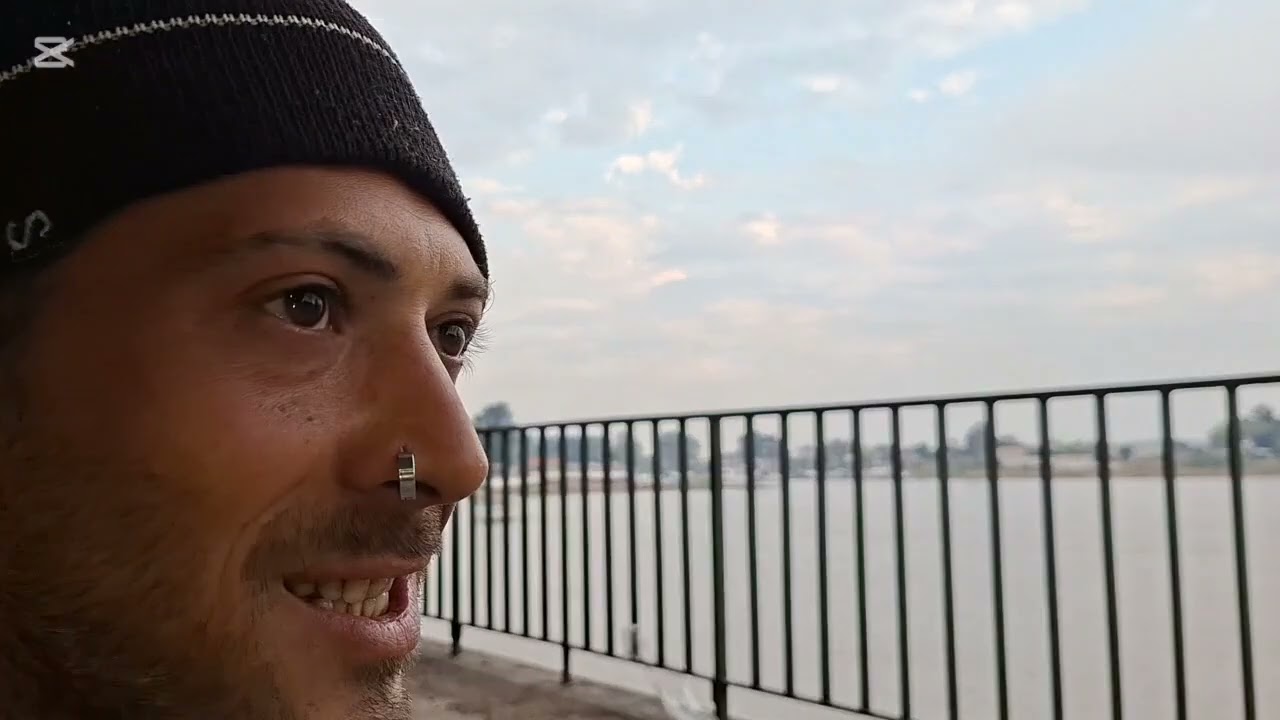 Amarillos grandes de bajo del puente oroño!! Costanera de santa fe