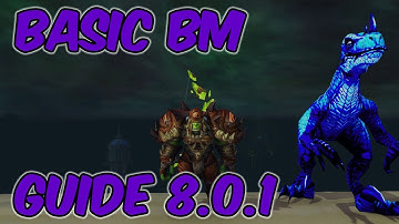 8.0.1 Beast Mastery Hunter Basic Guide - WoW BFA 8.0.1