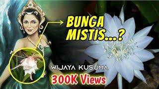 BE CAREFUL WITH THESE DECORATIVE PLANTS! Facts & Myths Behind the Beautiful Wijaya Kusuma Flower