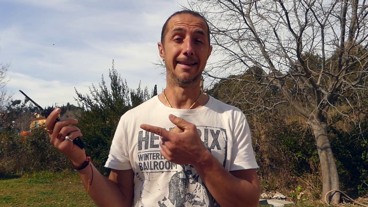 El Jengibre en Medicina China. china southern airlines