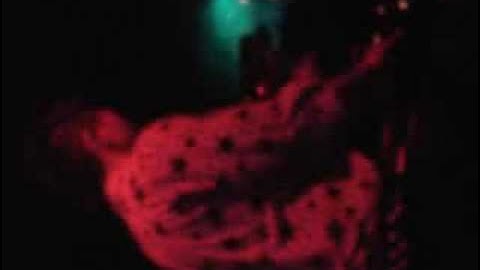 Livid OHM DJing with ableton live