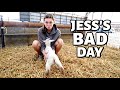 This should cheer her up!  (Jess's first harvest OOPSIES.):  Vlog 356