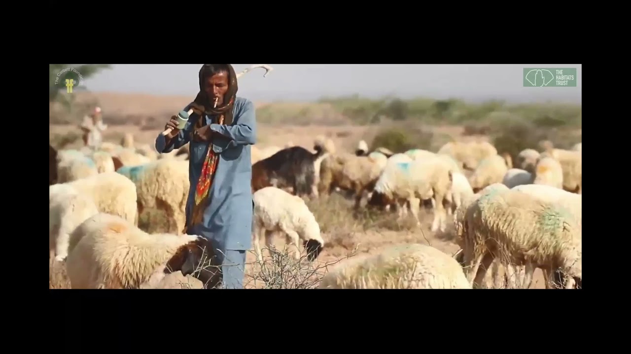 Virtual Symposium III - The Habitats Trust Grants 2021