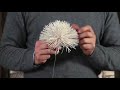 Italian Paper Artist Andrea Merendi
