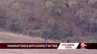 Police pursuit ends in Northland; driver found hiding in tree