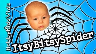 Itsy Bitsy Spider Storytime with HobbyBaby! Funny Bedtime Story Book by HobbyKidsVids