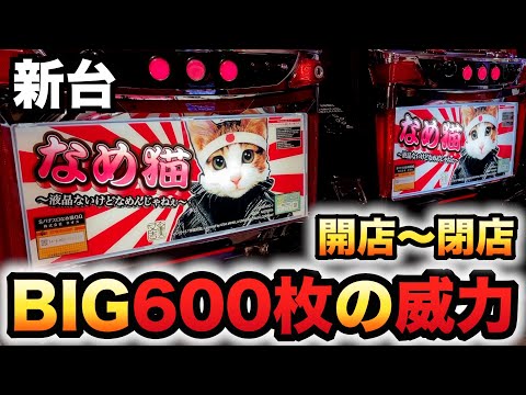 開店〜閉店】新台なめ猫BIG600枚の威力は？パチスロ実践～液晶ないけど