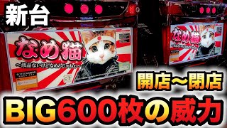 【開店〜閉店】新台なめ猫BIG600枚の威力は？パチスロ実践～液晶ないけどなめんじゃねぇ～#1483 screenshot 3