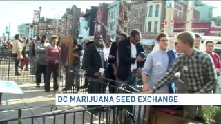 DC marijuana seed exchange