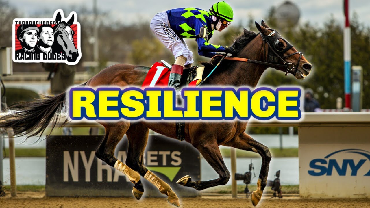 Kentucky Derby horses 2024 Resilience