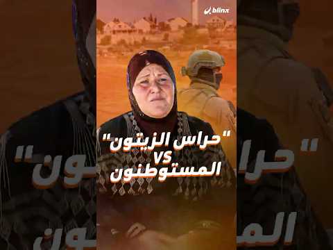 يتناوبون على حراسة زيتونهم وأرضهم هذه قصة حراس الزيتون في مسافر يطا جنوب الضفة الغربية 