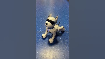 Meet Ziggy the Robo Dog 🐾🤖 Product code 🔎 188373 #smythstoys #ziggy #robotdog #toyshorts