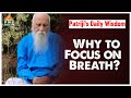 Why to focus on breath  patrijis daily wisdom  pmc english