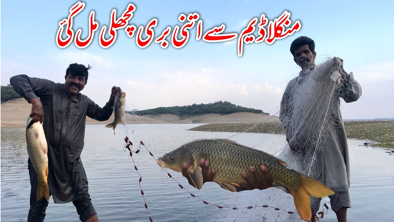 Barish ka mosam ma Mangla dam sa itni bare fish pakre 😍 - YouTube