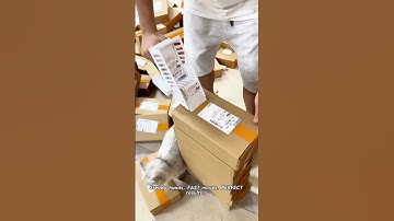 LIGHTNING FAST Label Gun Action! ⚡