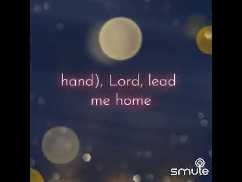 Lead Me Home - Cover (Jamey Johnson)