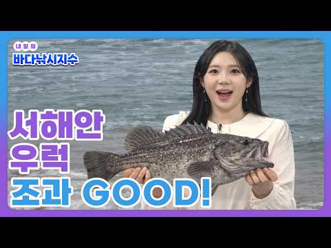 [바다낚시지수] 26년4월6일 이달의 수산물 가자미, 홍어 먹고 서해안에서 우럭 낚시 어때요? / 해양예보방송