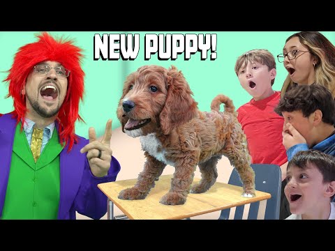 Our NEW Puppy's 1st Day of School! FV Family Golden Doodle Surprise (Yes, another Dog!)