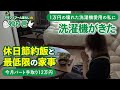 パート手取り12万円：51歳ひとりぐらし：休日節約飯と最低限の家事：洗濯機がきた