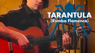 Ben Woods - Tarantula - Flamenco Guitar (Ortega)