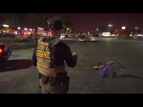 WORLDS FUNNIEST ARREST!