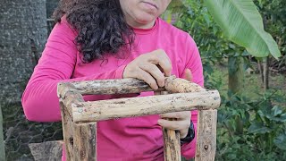 Take the dried twigs and branches - Make rustic decoration farmhouse plant support