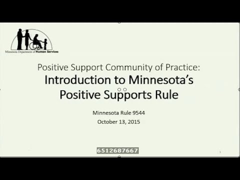 Intro to Minnesota’s Positive Support Rule (MN Rule 9544): Part 2